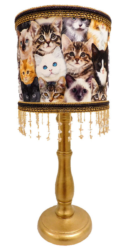 Lamp kittens